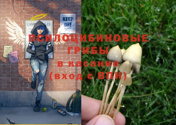 экстази Новозыбков
