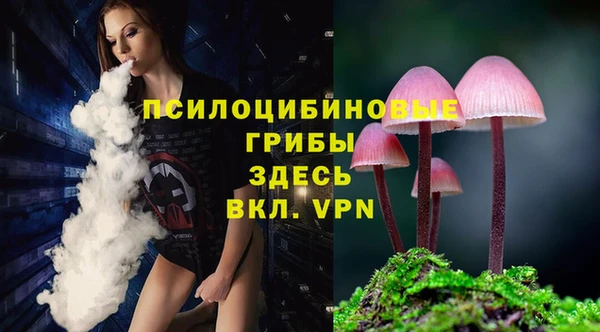 метамфетамин Алексеевка